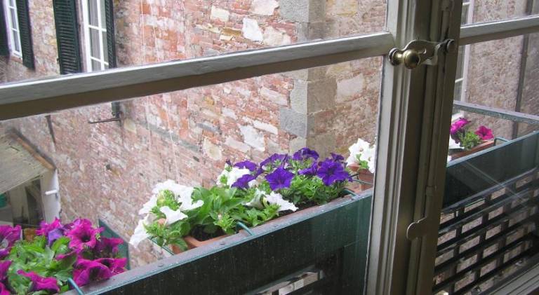 Rental apartment | Next to Lucca Cathedral | Pet-friendly — photo 5