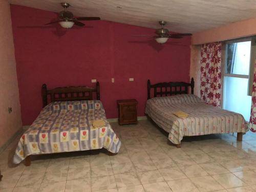 foto8