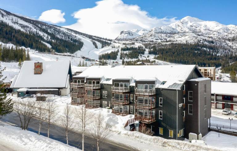 Ferielejlighed  Hemsedal
