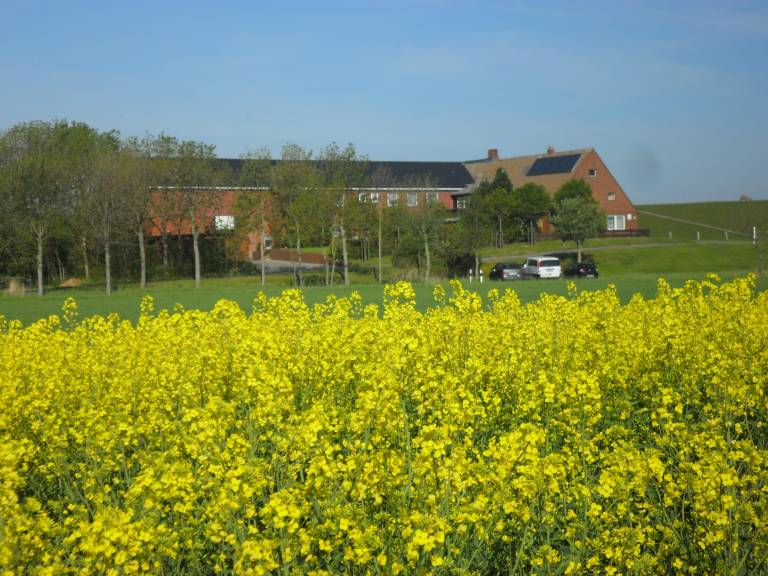 foto33