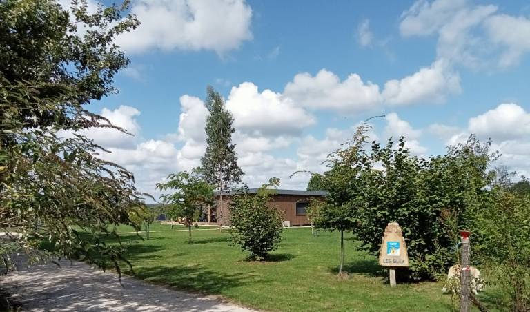 foto2