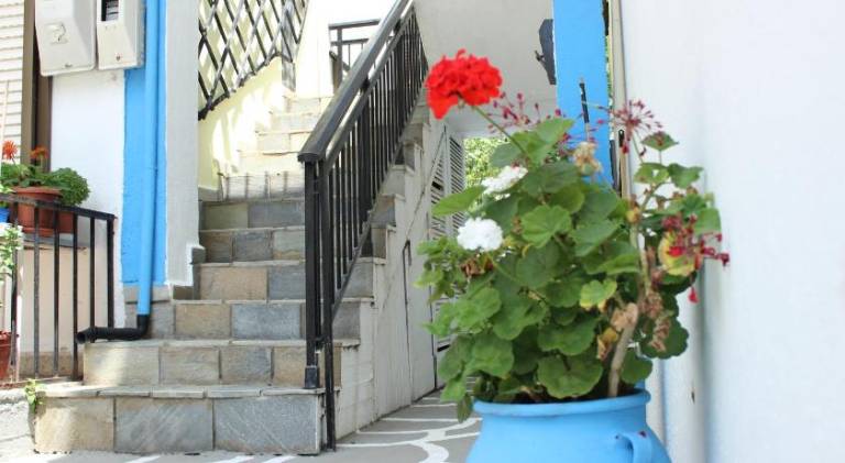 Apartment with patio | Pets are welcome — photo 5