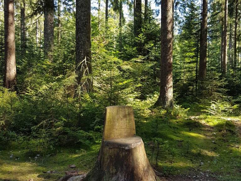 foto44