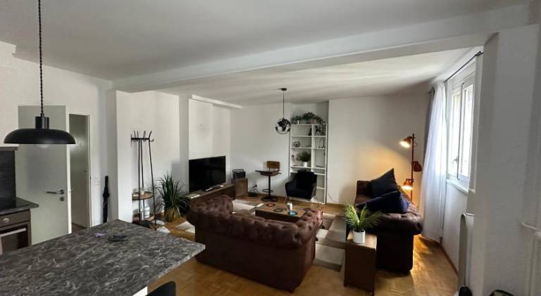 Wonderful holiday apartment | Next to Jet d'Eau | Pets allowed in Geneva