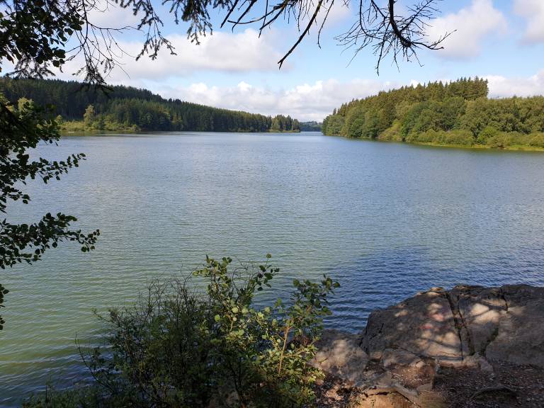 foto26