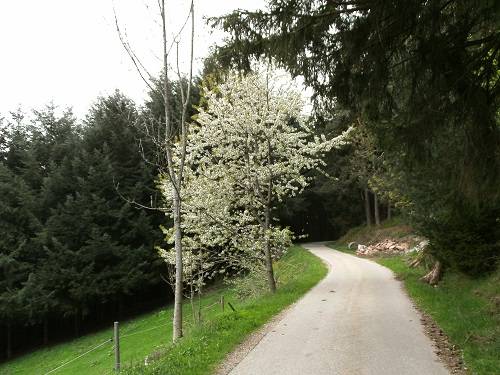 foto16