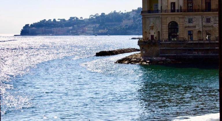 Rental apartment | Pet-friendly in Naples