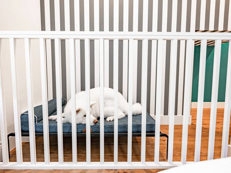 Wonderful house with barbecue, patio & garden | Pet-friendly — photo 5