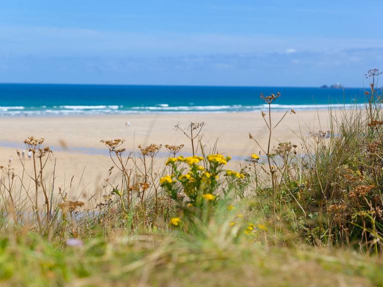 Cottage Hayle