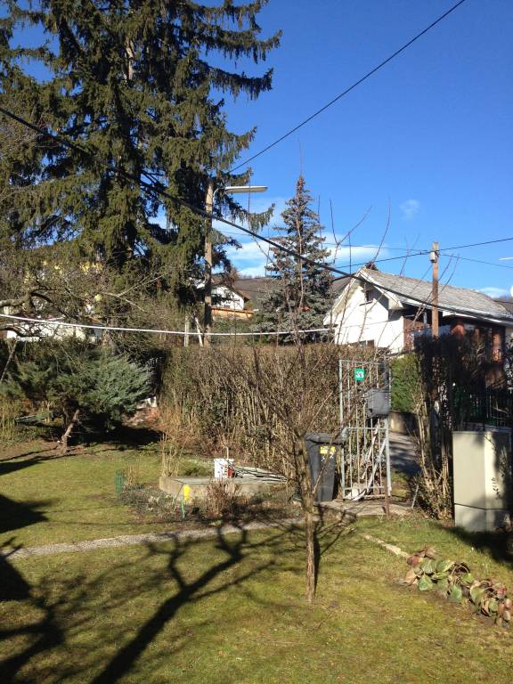 foto11