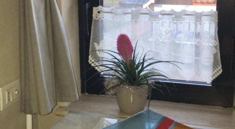 foto17
