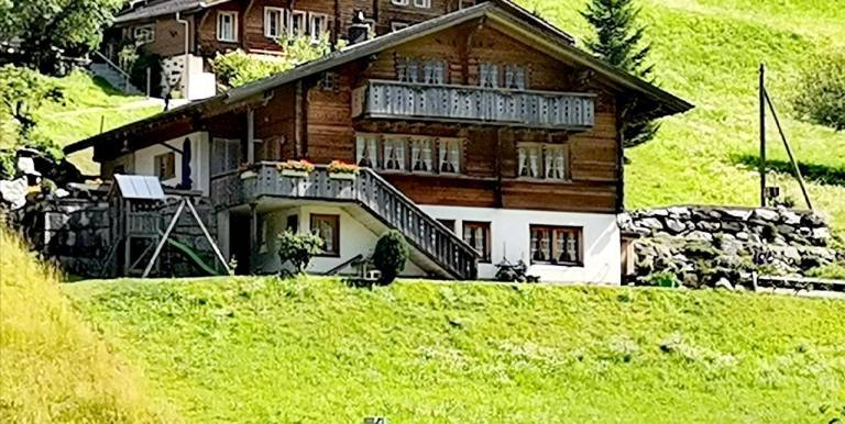Ferienwohnung Innertkirchen