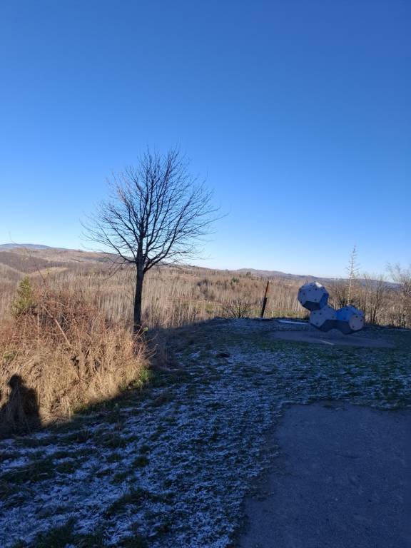 foto12