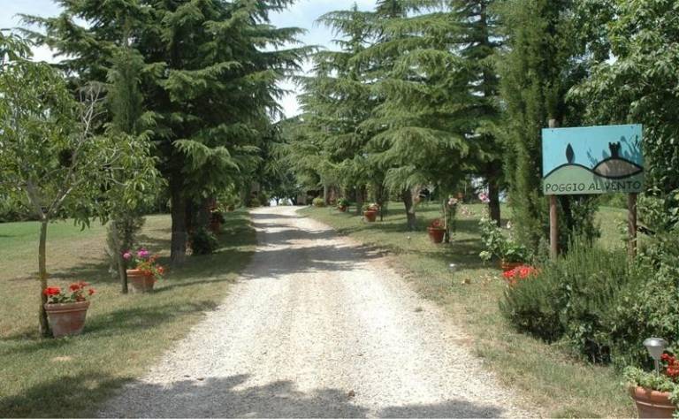 foto15
