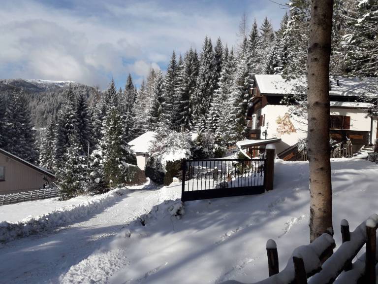 Ferienwohnung mit Hund in Kliening, Gemeinde Bad Sankt Leonhard im Lavanttal f&uuml;r max. 9 Personen