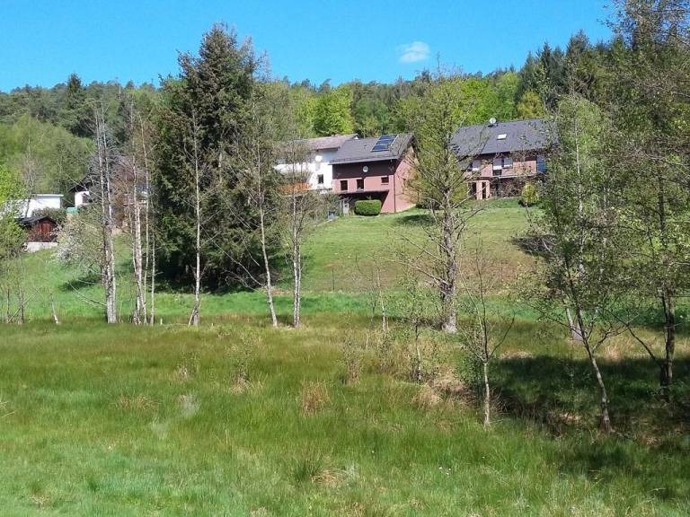 foto20