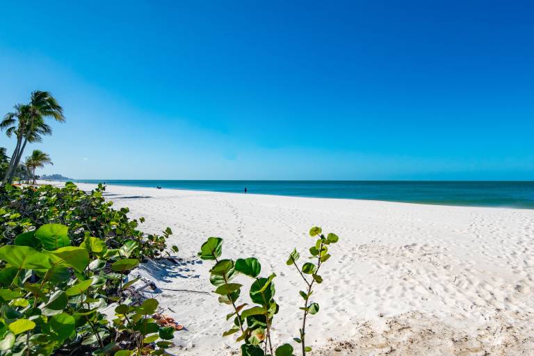 North Naples Vacation Rentals & Apartments from 102 HomeToGo
