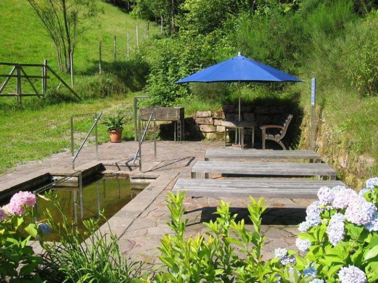Children-friendly beautiful rental apartment with yard, barbeque & patio | Dogs allowed — photo 4