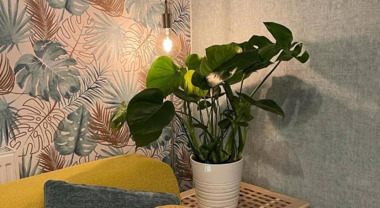 foto17