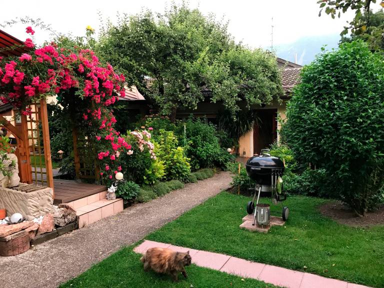 foto13