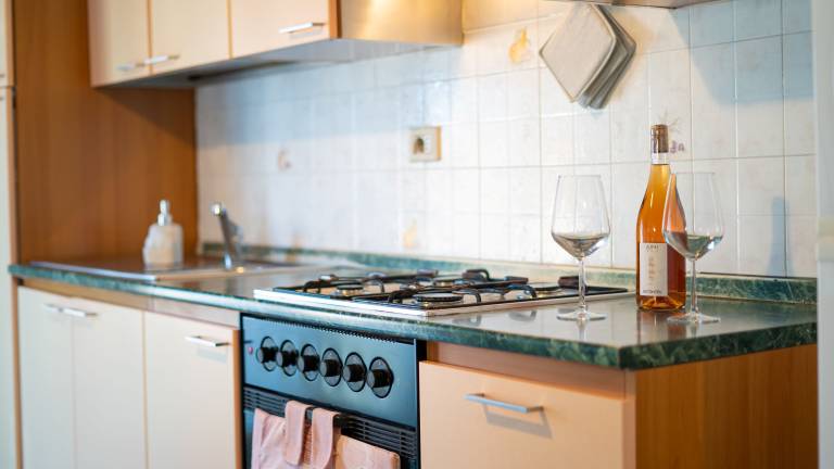 Family-friendly holiday apartment | Mountain view | Pet-friendly — photo 4