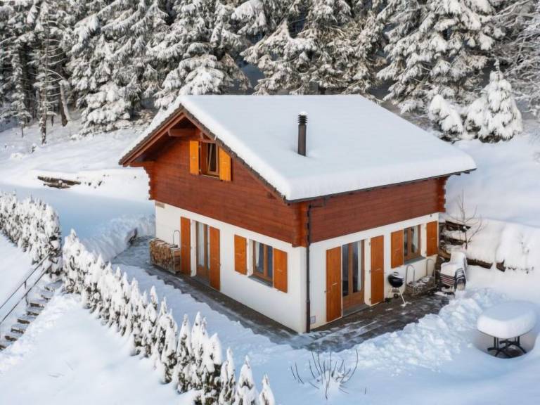 Maison de vacances Ovronnaz