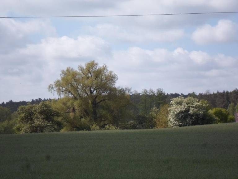foto11