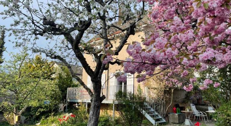 Bed & Breakfast Solothurn