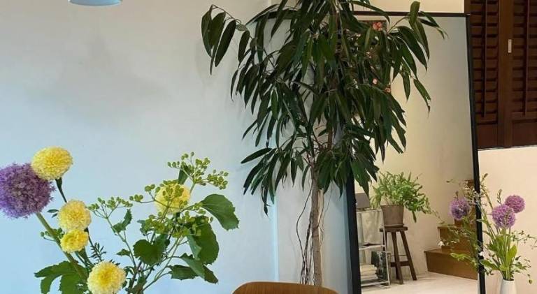foto20