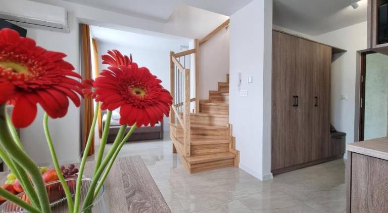 Rental apartment with terrace — photo 4