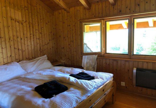 foto3