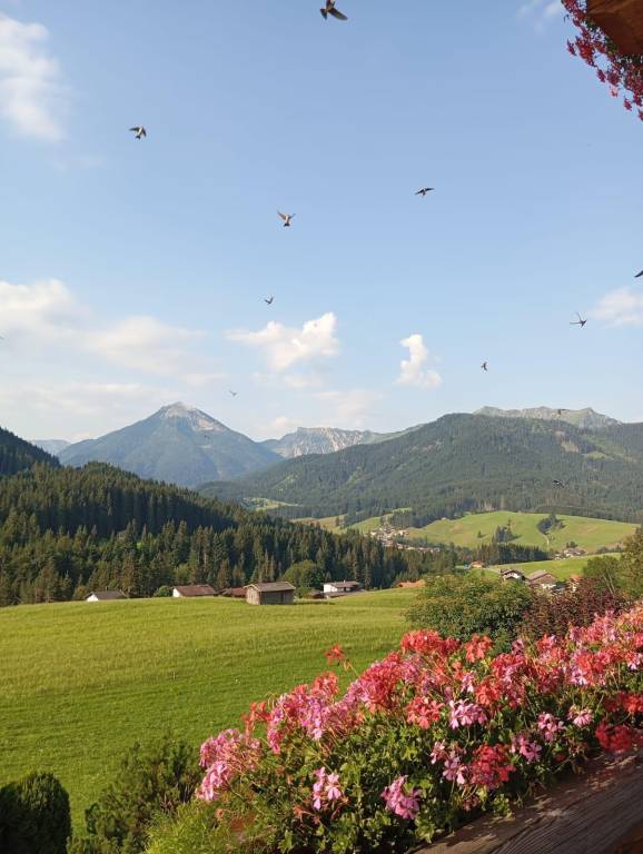 foto4