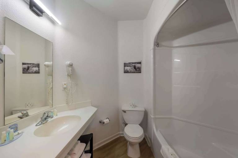 foto12