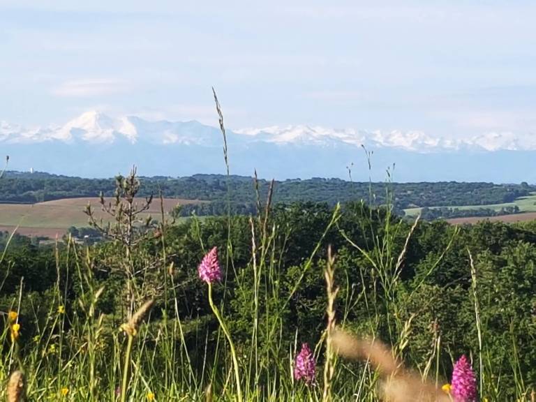 foto21