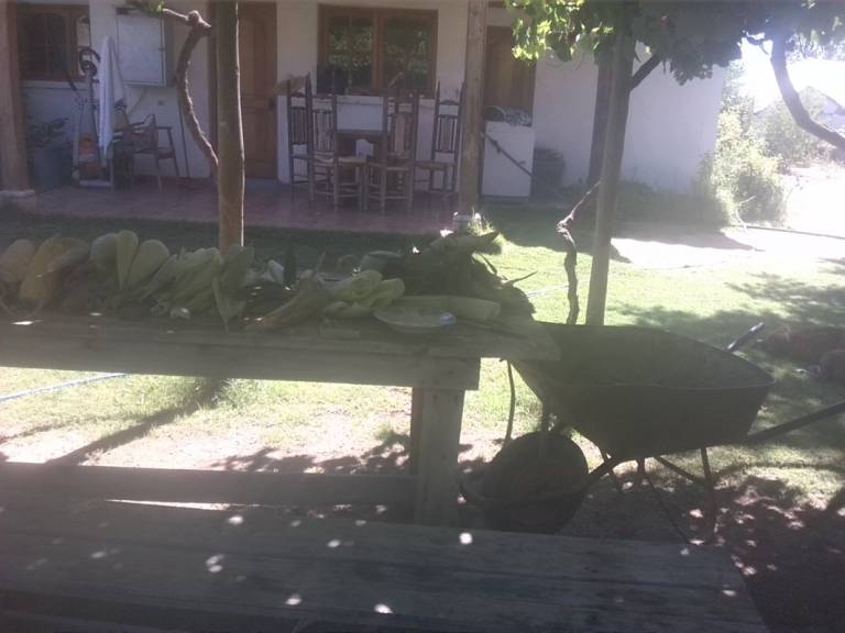foto2