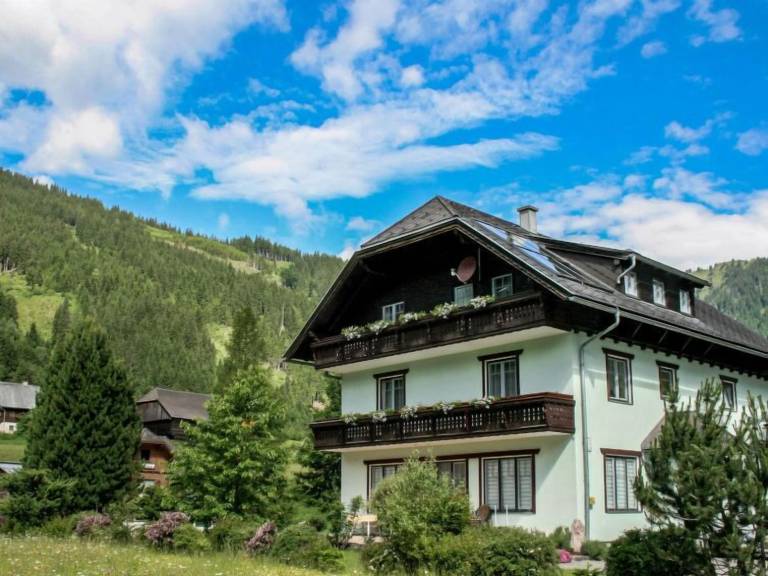 Ferienwohnung Donnersbachwald