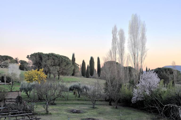 Appartamento  Sutri