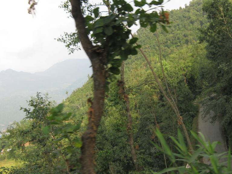 foto1