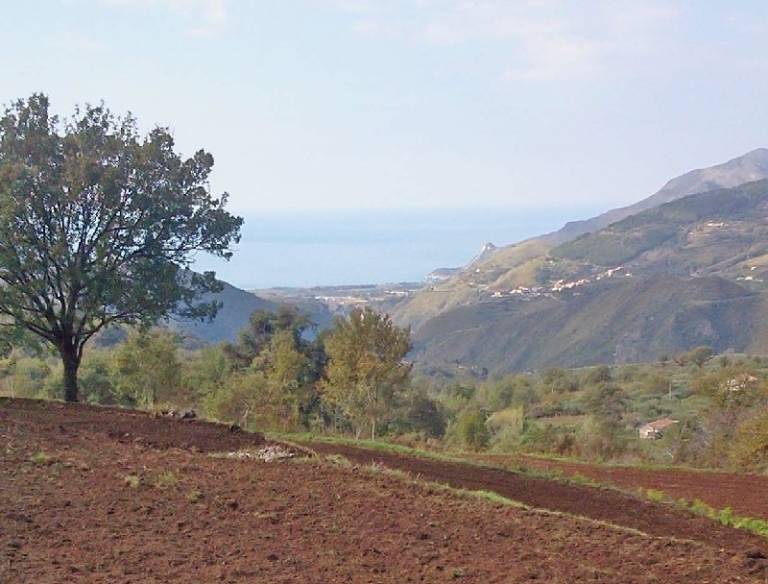 Terre Rosse di Massadita: Camera superiore — photo 5
