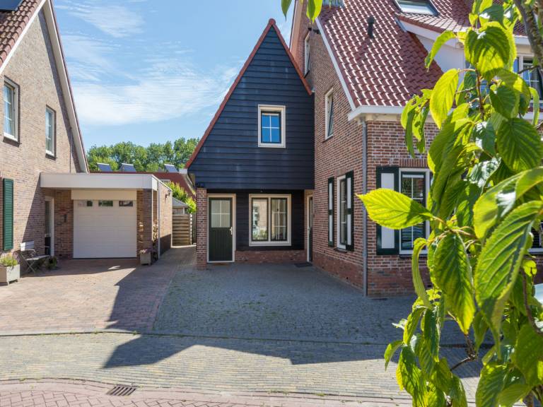 Ferienhaus  Domburg