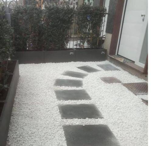 foto6