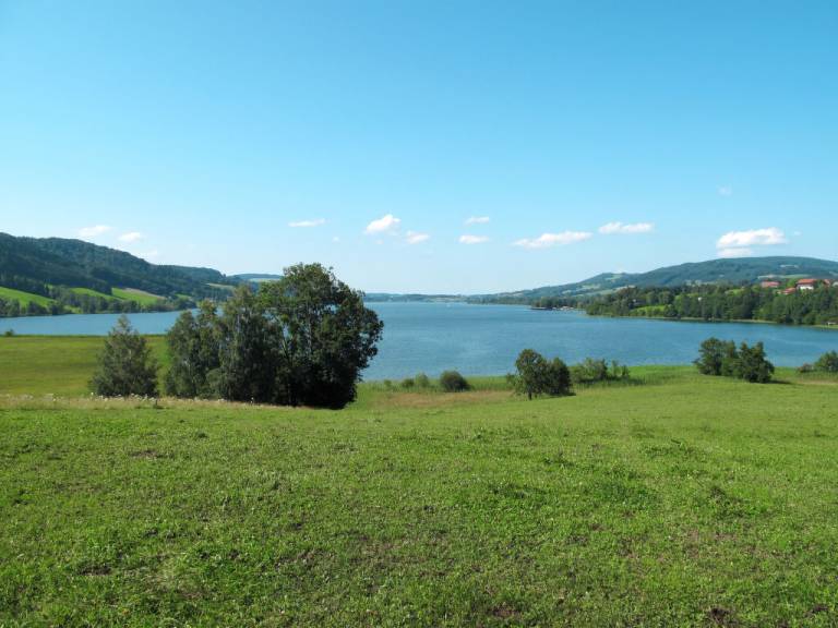 foto21