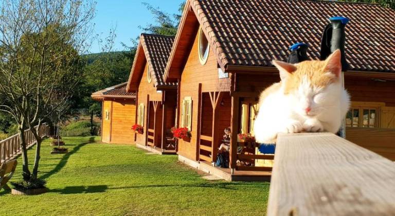 Albergue Cee