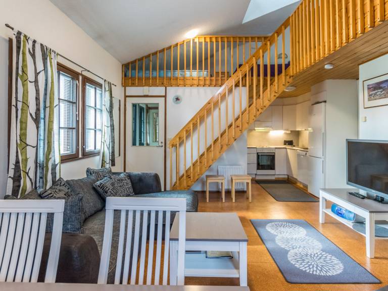 Vacation home with sauna — photo 4