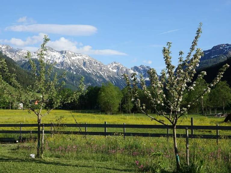 Ferienwohnung Kleinarl