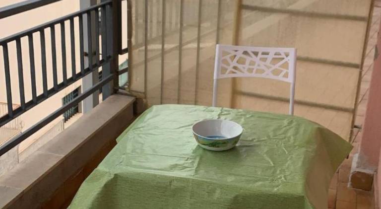 Beautiful rental apartment | Beach nearby | Pets are welcome — photo 3