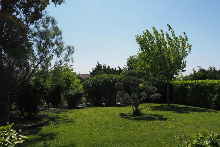 foto14