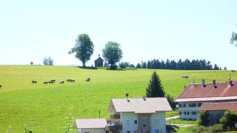 Ferienhaus Stiefenhofen