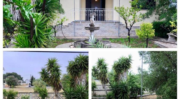 Vacation home with 2 rooms for 4 persons in Porto Cesareo