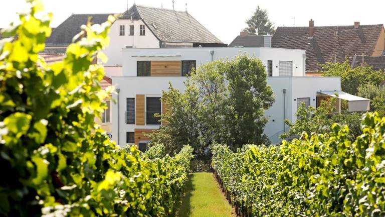 Ferienwohnung  Edesheim